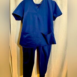 Fablectics Scrubs Medium Top Medium short bottoms